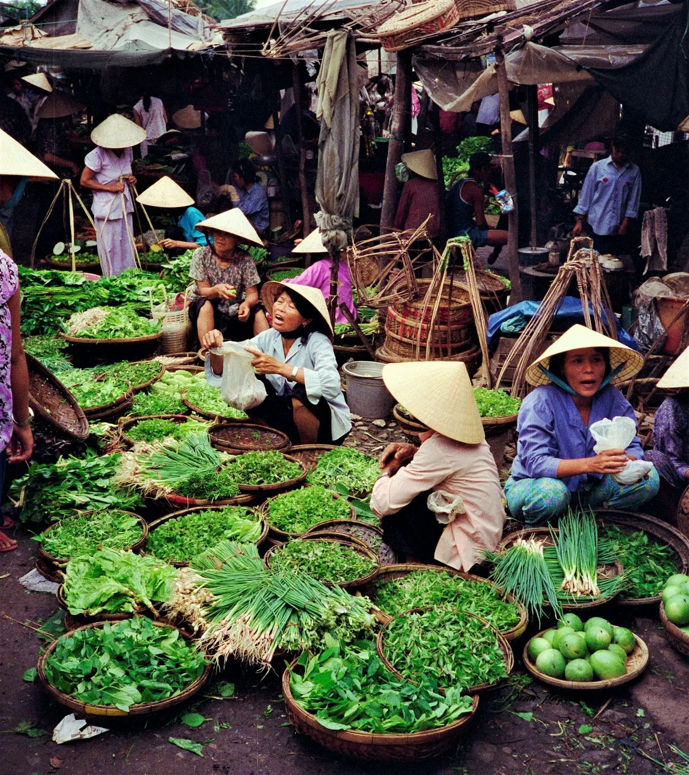 Những người bán rau đội nón lá trong một khu chợ đầu mối